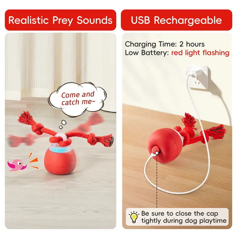 Potaroma Interactive Dog Toy - Automatic Rolling, Touch-Activated Squeaky Ball with Rechargeable Dynamic Motion and Durable Rope for Indoor Training and Healthy Chewing for Small to Medium Puppies, Dark Red, Boredom Reducer