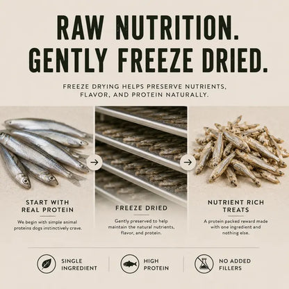 True Wild Freeze Dried Dog Treats- Premium Single Ingredient Snacks for Dogs